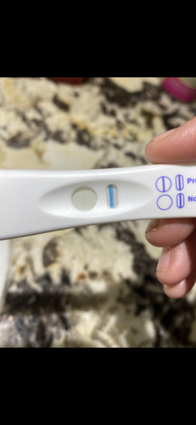 Ovulation Xmas week