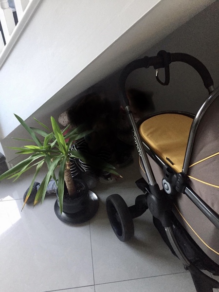 Could someone advise which buggy board would fit this
