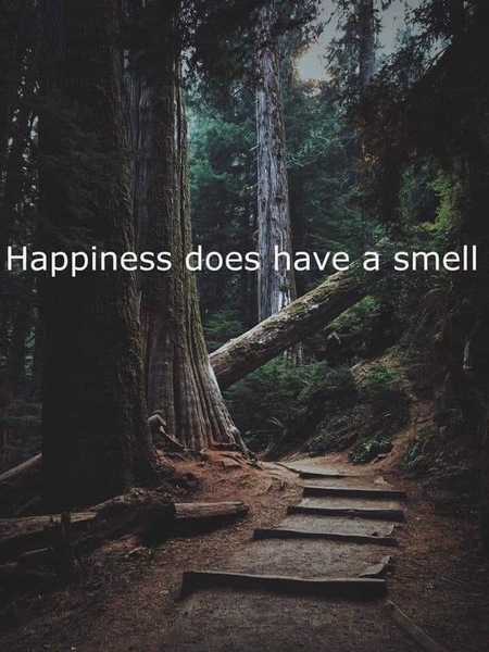 Any Witches Here? Part 10.