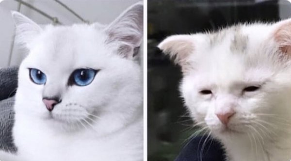 Should you wear eyeliner after 50?