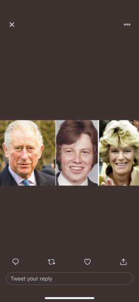 Charles and Camilla lovechild?...