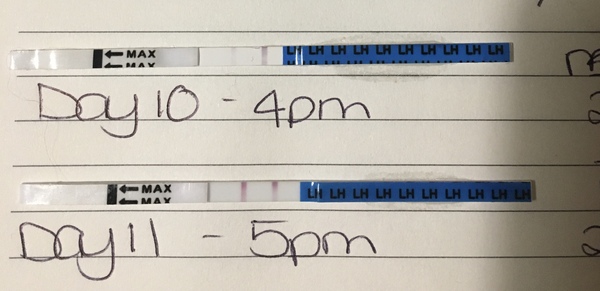 TTC need help using Ovulation tests confused!!!