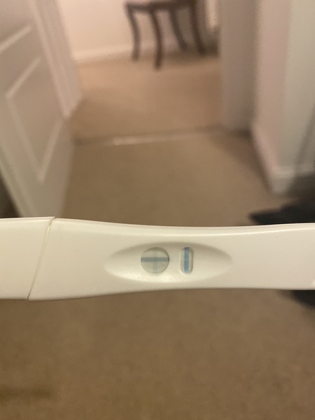 Having a total freak out need advice : )