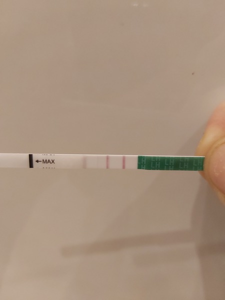OP tests... why do i keep getting positives ?