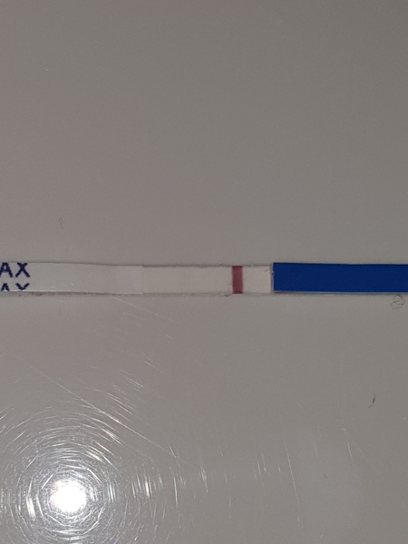 Its another squinter!