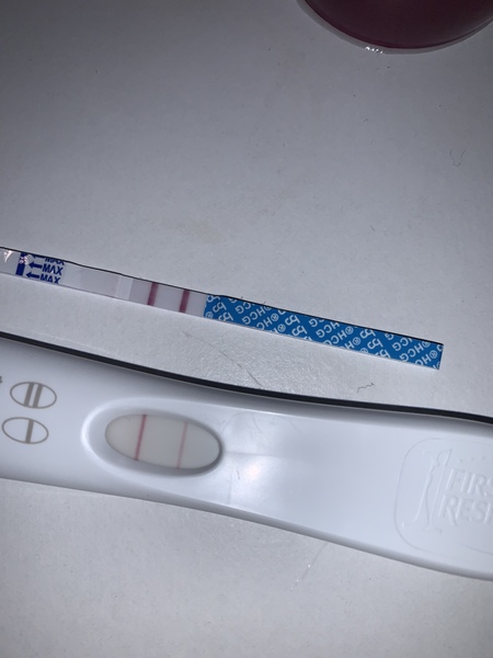 Babies due September 2020 💕 Just got BFP