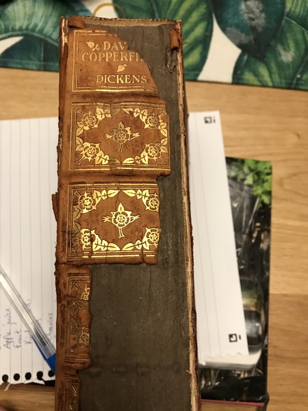 David Copperfield Dickensalong