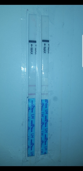 Baby @home ovulation test!!please help an I ovualting??
