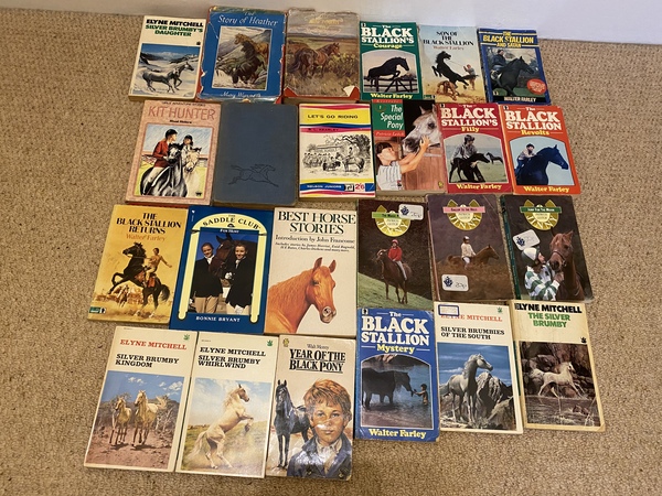 Help me find this horsey fiction book - please