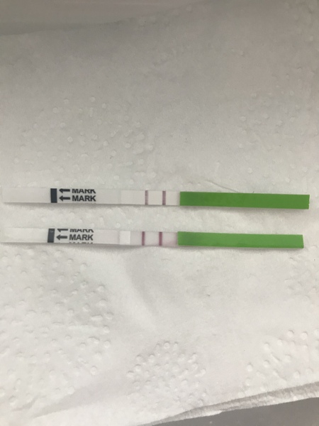 Ovulation - NYE week