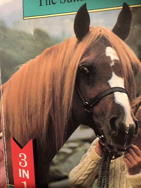 Help me find this horsey fiction book - please