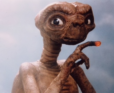 The Westminster Arms