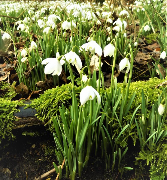 Any Witches Here? Part 10.