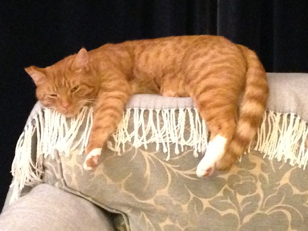 What is wrong with DCat1's chair?
