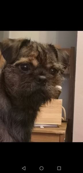 Ello frens. How olds do I looks?