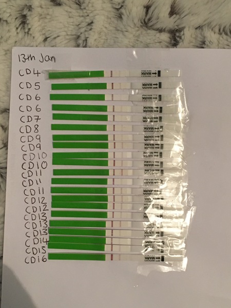 Anyone looking to start TTC in New Year?
