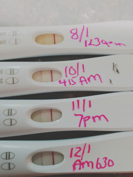 Babies due September 2020 💕 Just got BFP