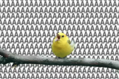 🐌 Fantastic Skincare: Is Everyone Having Botox Without Me? 💉