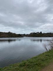 New year frugalling commences. Save those pennies for January