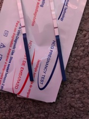 pregnancy tests