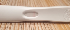 Is this a line or do I have line eyes?!