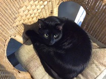 New year frugalling commences. Save those pennies for January