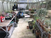 Could any of you kindly talk to me please about buying a greenhouse, what I should be aware of, and what it should stand on?
