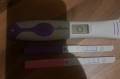 HELP! Ovulation Test Reading?
