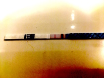 Ovulation - NYE week