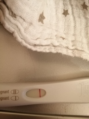 10dpo success stories?