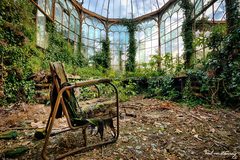 Les Parisiennes de Mamansnet: Be More Aunt Larry