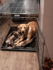 Jan ’20 – Week 1 Low Carb Bootcamp – Here we go!