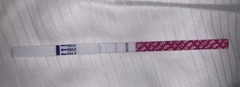 OPK line detection of early pregnancy??