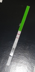 Ovulation day
