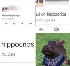 He’s not his