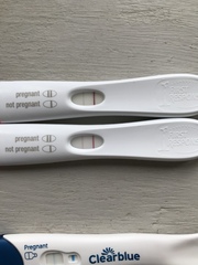 Babies due September 2020 💕 Just got BFP