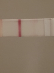 Is this positive??