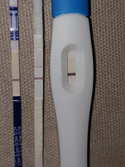 3 positive tests, then neg blood and urine. Now v faint positive on frer, help??