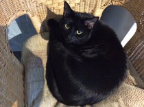 New year frugalling commences. Save those pennies for January