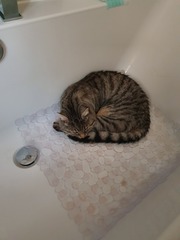 What is wrong with DCat1's chair?