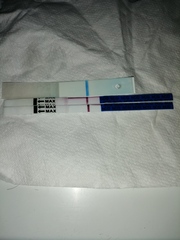 11dpo and BFN