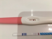 Femometer cheapie : is this a BFP??