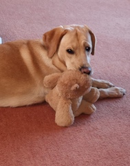 Jan ’20 – Week 1 Low Carb Bootcamp – Here we go!