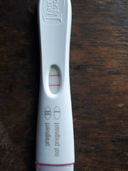 Babies due September 2020 💕 Just got BFP