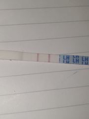 Pos opk 5dpo