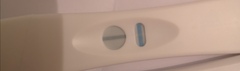 Tesco pregnancy tests!