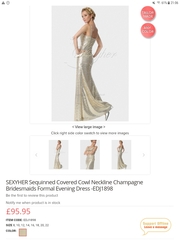 Champagne wedding dress for around £100! Needed in two months! Eek!