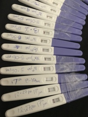 Hcg and positive and negative pregnancy test
