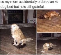 To be so upset about this!