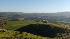 New year frugalling commences. Save those pennies for January